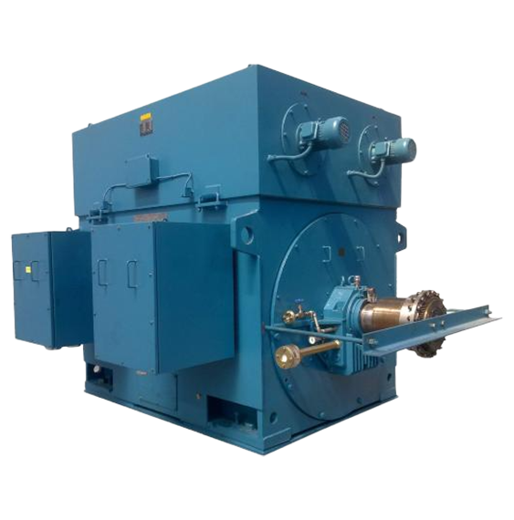 Squirrel cage asynchronous motor